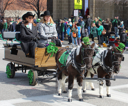 Lake Metroparks mini horses